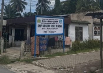 ‘Cermin Retak’ Tata Kelola Dana BOSP : DPN LPK Minta APH Tidak Tahan Diri Usut Temuan BPK di SMPN 3 Sei Bingai