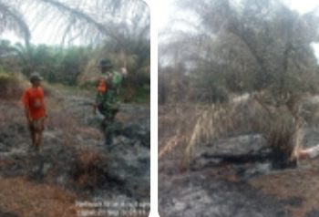 Hotspot DLK Terdeteksi, Polsek Pangkalan Kuras Gerak Cepat Verifikasi Karhutla 2500 M2 di Kawasan TNTN