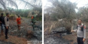 Hotspot DLK Terdeteksi, Polsek Pangkalan Kuras Gerak Cepat Verifikasi Karhutla 2500 M2 di Kawasan TNTN