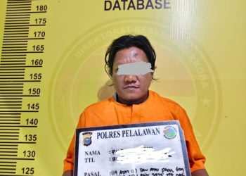 SATRESNARKOBA POLRES PELALAWAN BEKUK BURUH PENGEDAR SABU 1,32 GRAM DI UKUI