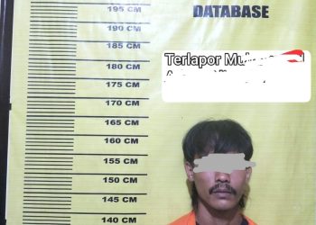 Curi 18 Tandan Sawit PT SLS, Pelaku diamankan Polsek Kerumutan