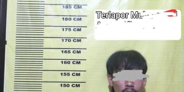 Curi 18 Tandan Sawit PT SLS, Pelaku diamankan Polsek Kerumutan