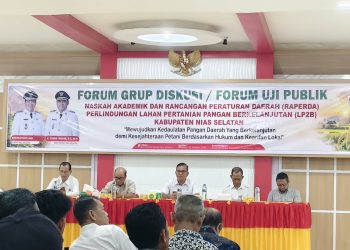 Lindungi Lahan Sawah, Pemerintah Kabupaten Nias Selatan Bahas Raperda LP2B